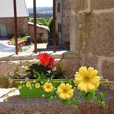 La Maison D'alphonse 7/8 Personnes